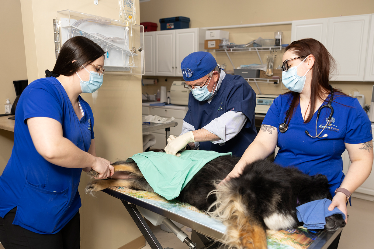 Greentree Animal Hospital