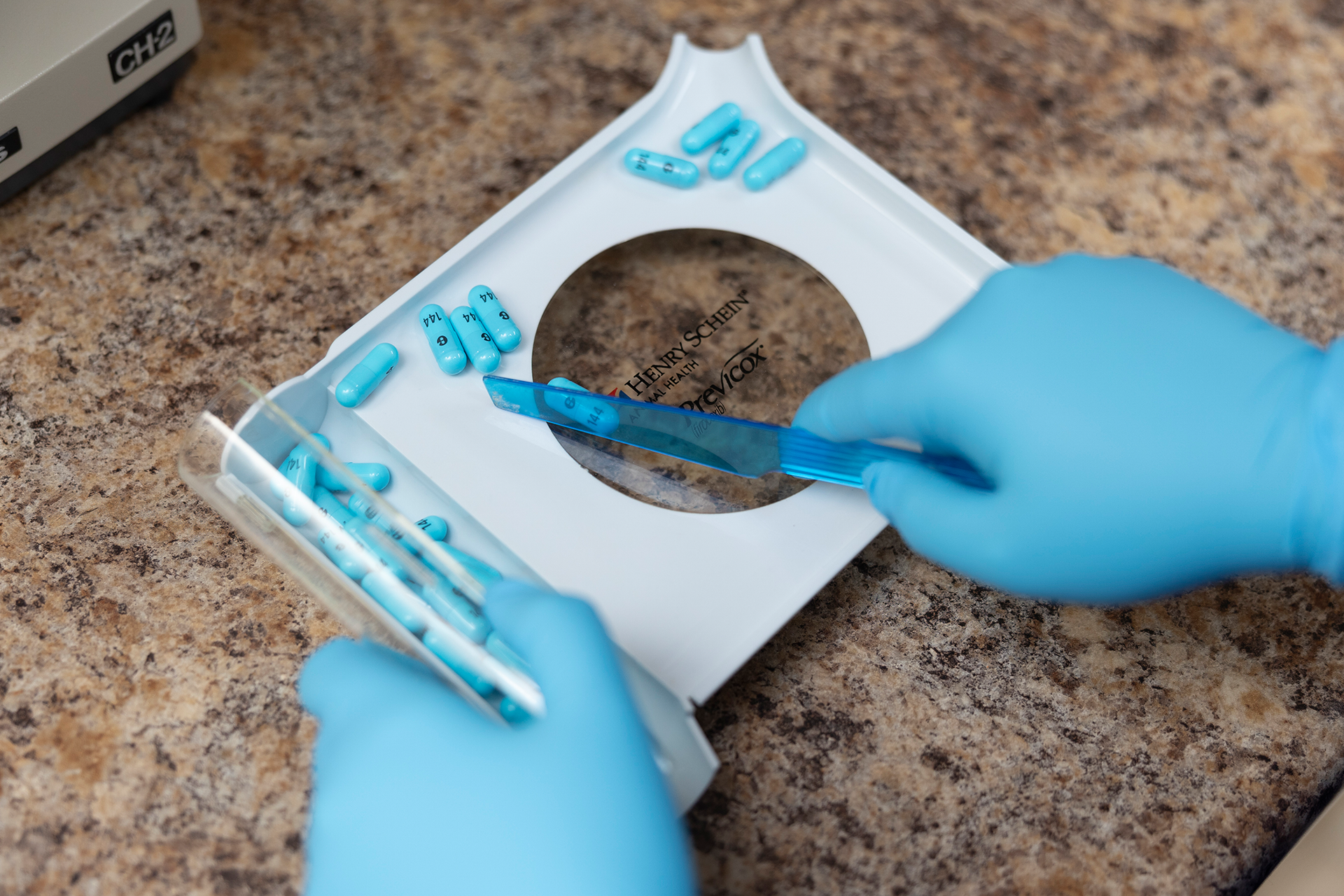 Greentree Animal Hospital