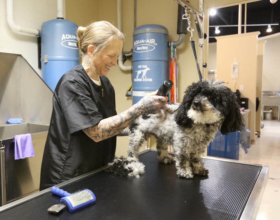 Greentree Animal Hospital