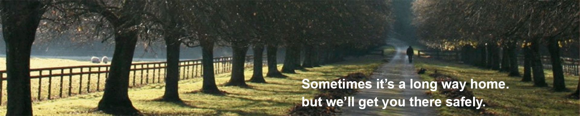A tree-lined dirt path leads into the distance with text reading, 