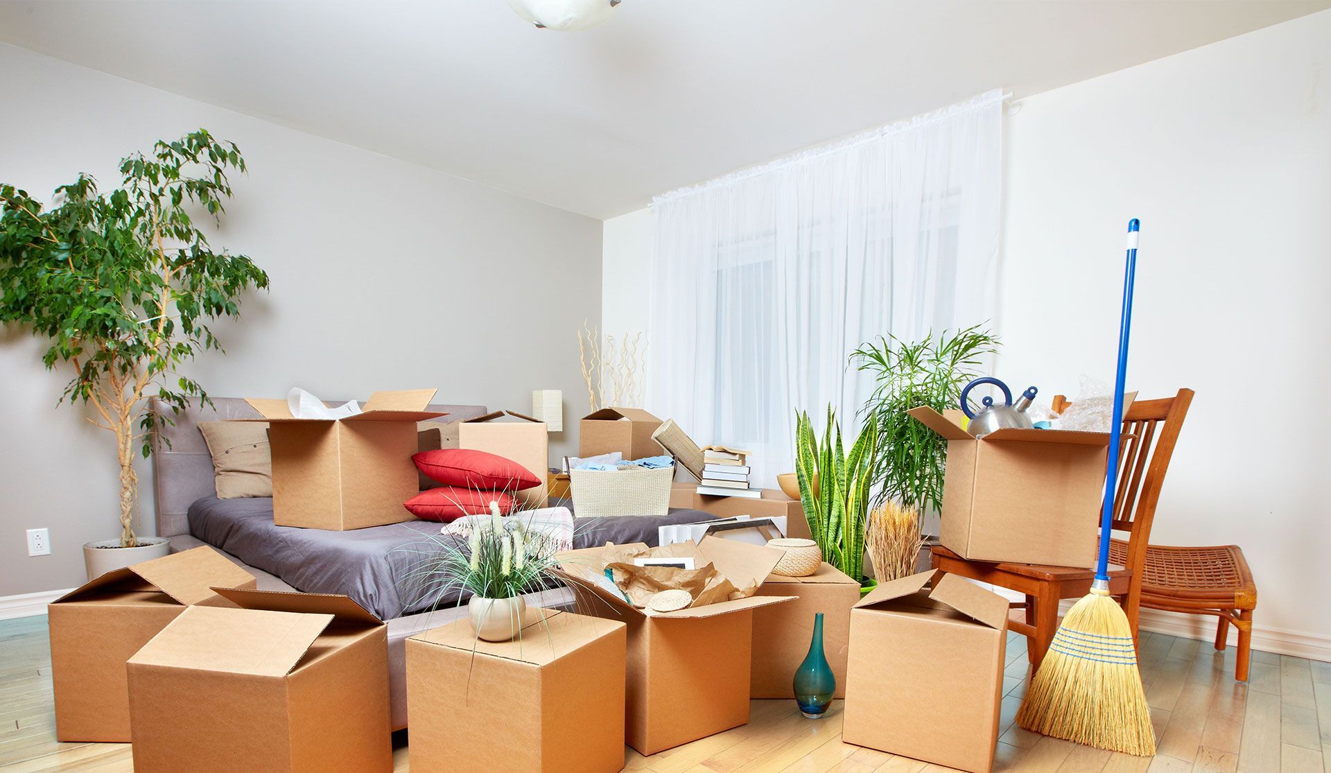 Cardboard moving boxes, a potted plant, and a broom in a room during a home move.