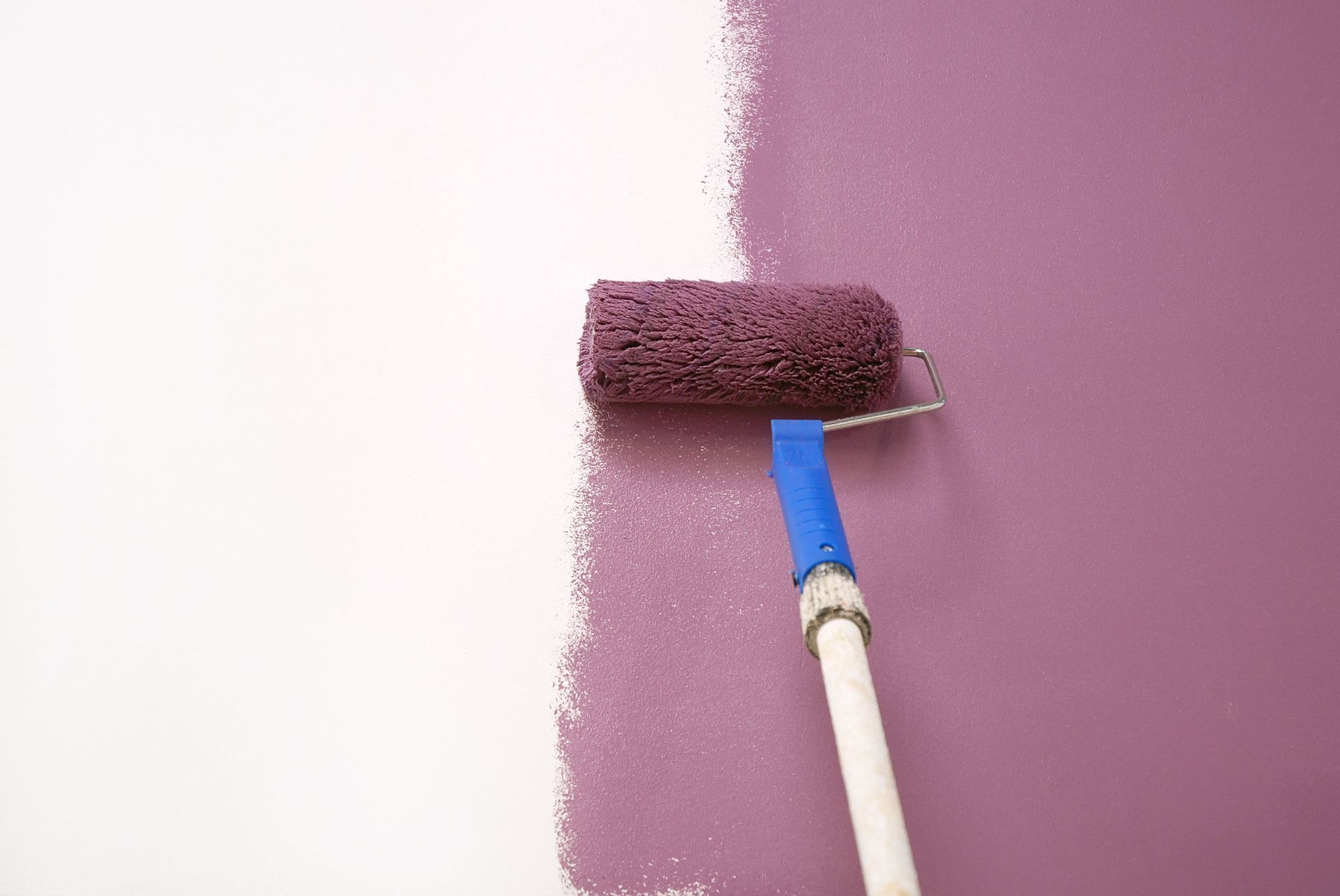 Paint roller applying purple paint to a white wall.