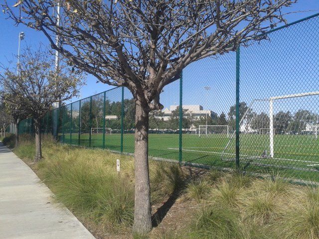 Installation of various height green vinyl chain link fence and gates