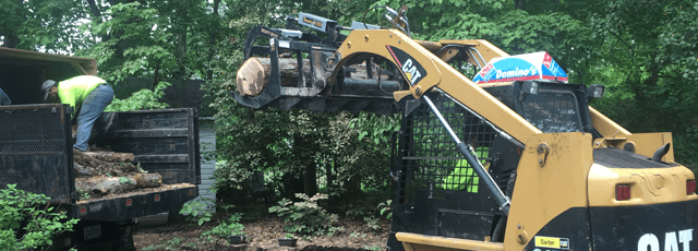 lot clearing