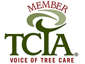 TCIA Member