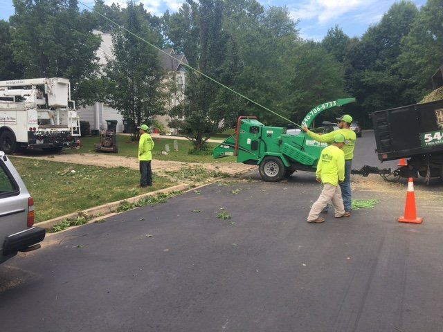 Tree Service