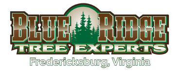 Blue Ridge Tree Experts - Logo
