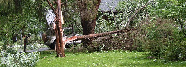 Storm Damage