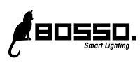 Bosso Permanent Holiday Lighting