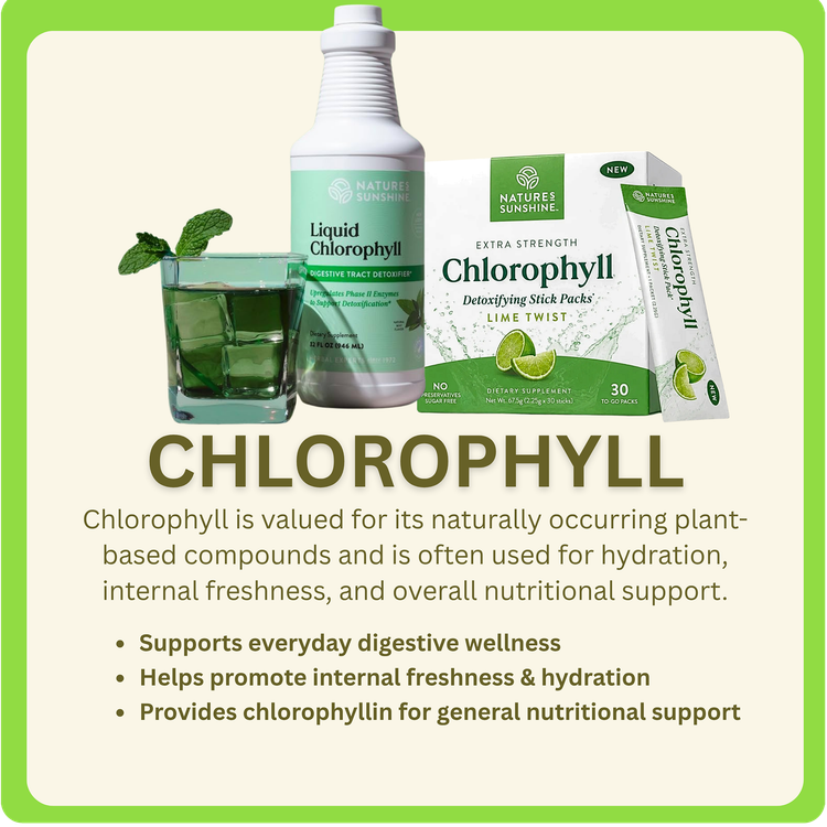 Chlorophyll supplement ad with green bottle, juice glass, leaf, and benefits text on cream background