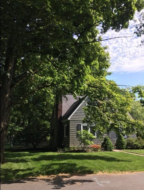 House nestled among trees, grey siding, green grass, blue sky with clouds peeking through the canopy.