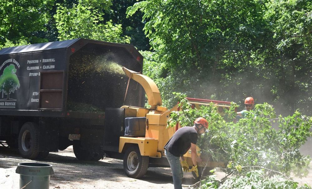 Northern Essex Tree Service