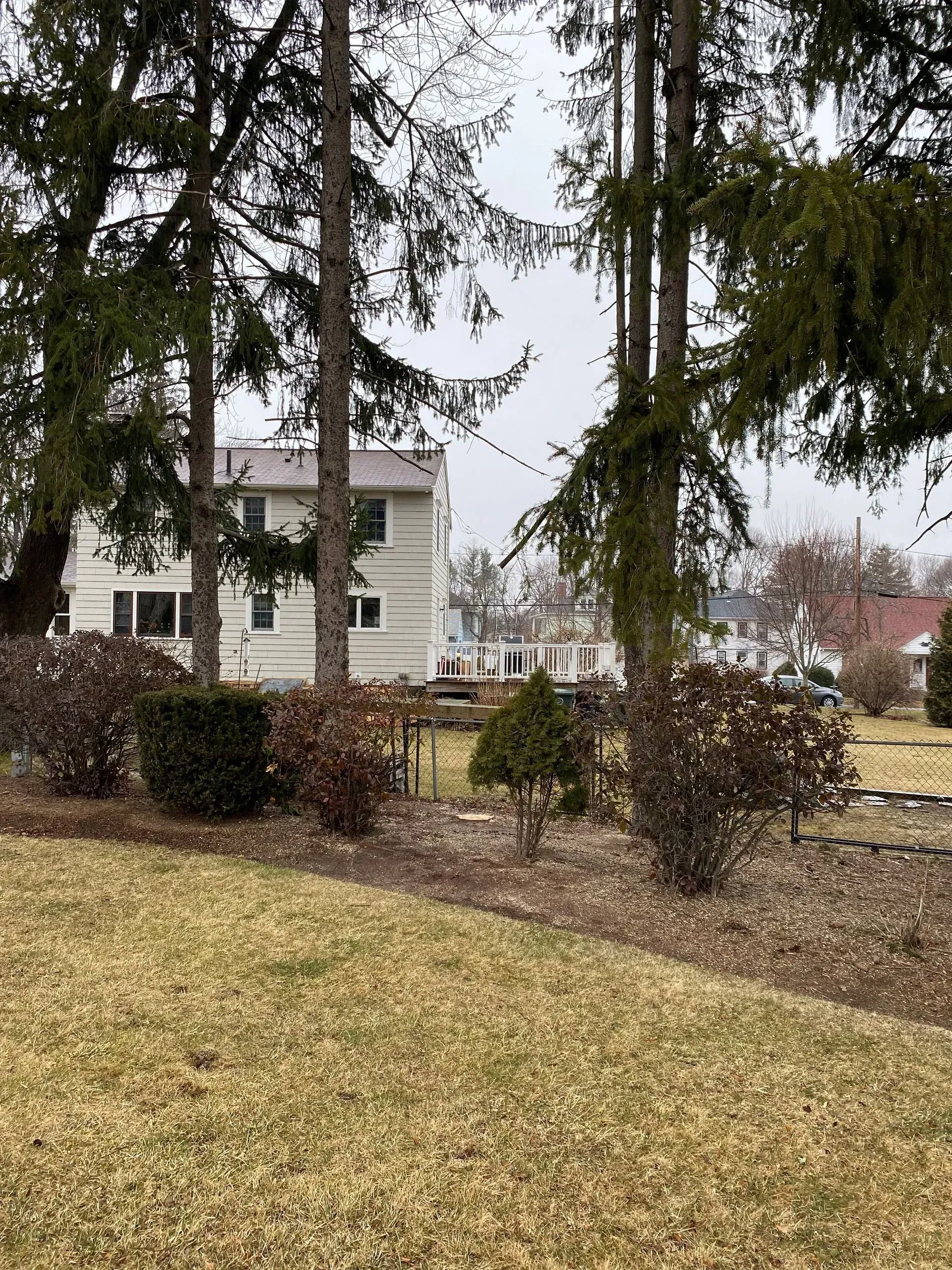 View of a two-story house behind trees and bushes on an overcast day.