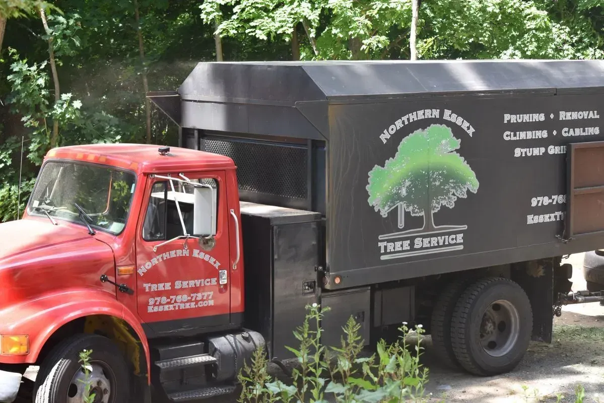 Red and black tree service truck with tree logo, parked outdoors.