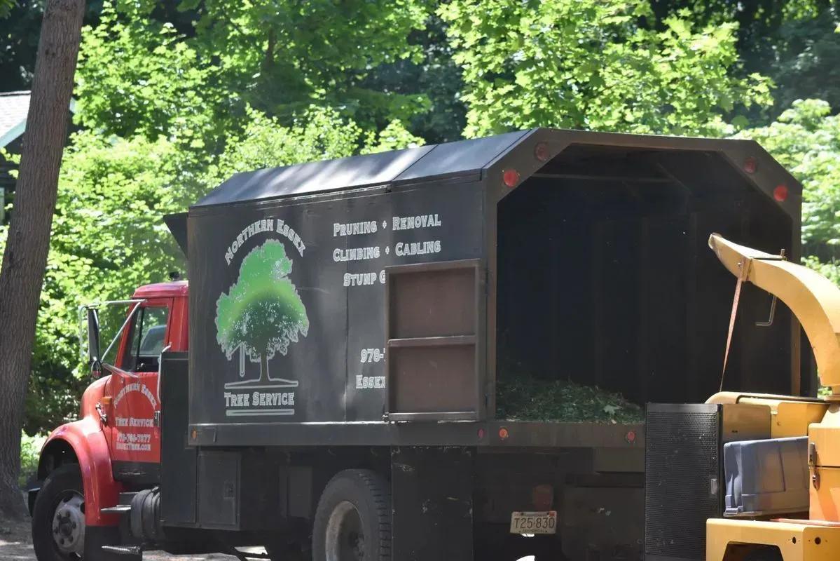 Tree service truck with open bed, parked on a sunny day.