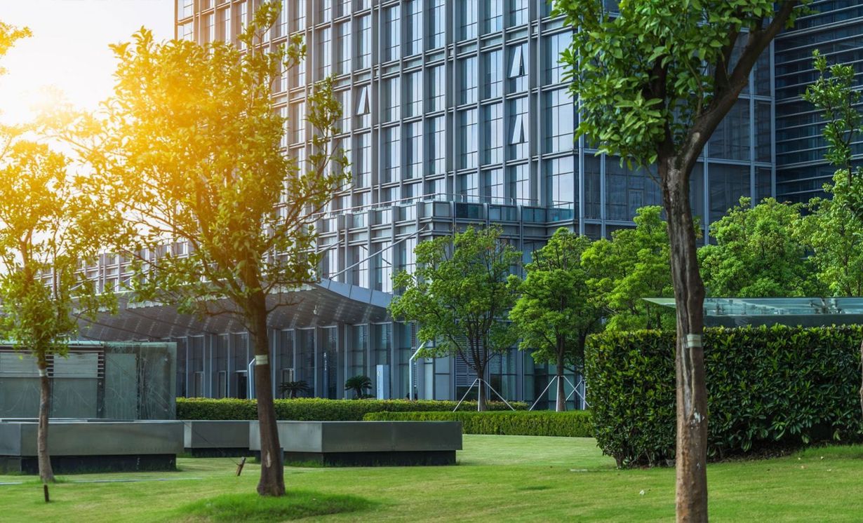 Northern Essex Tree Service