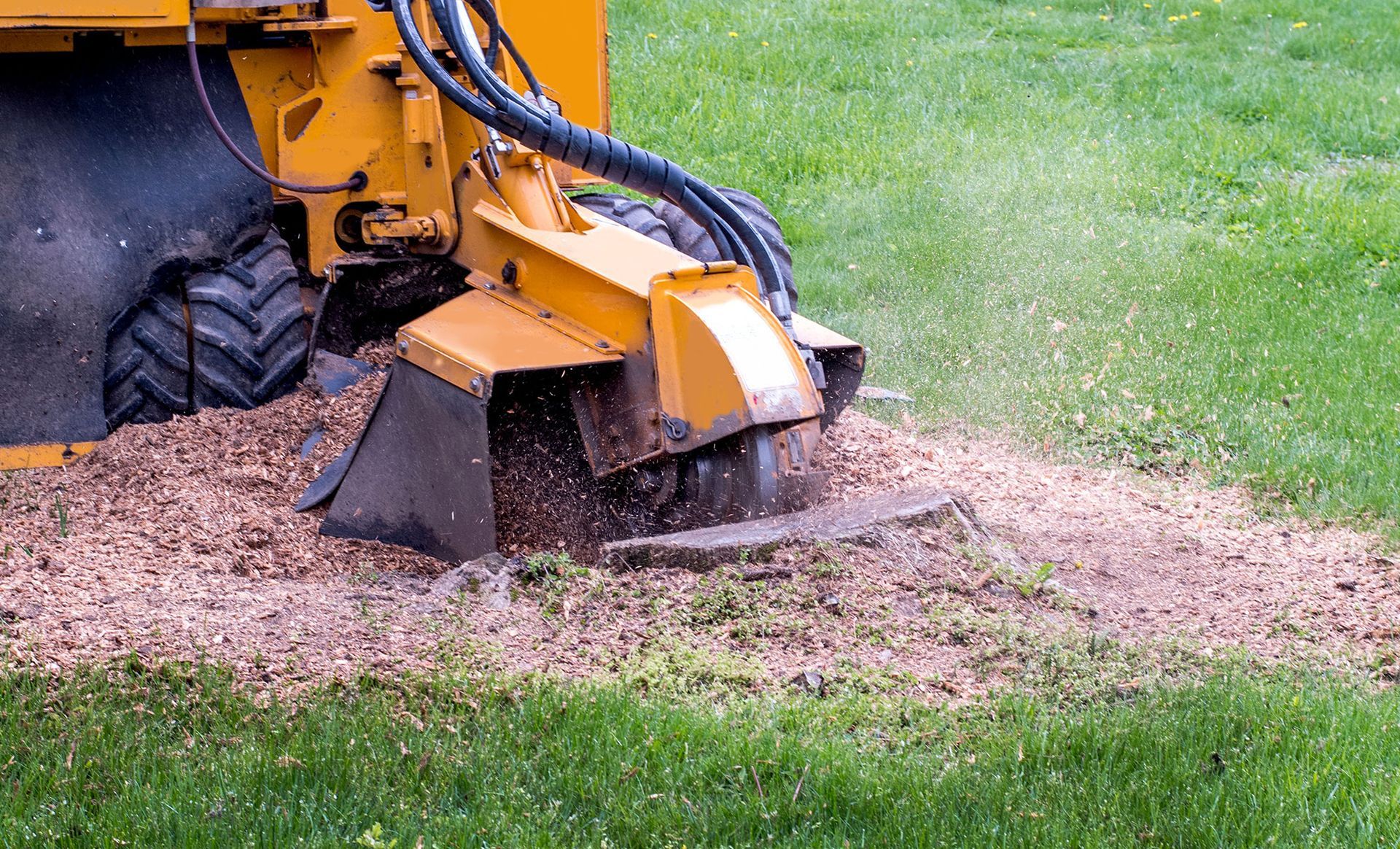 Northern Essex Tree Service