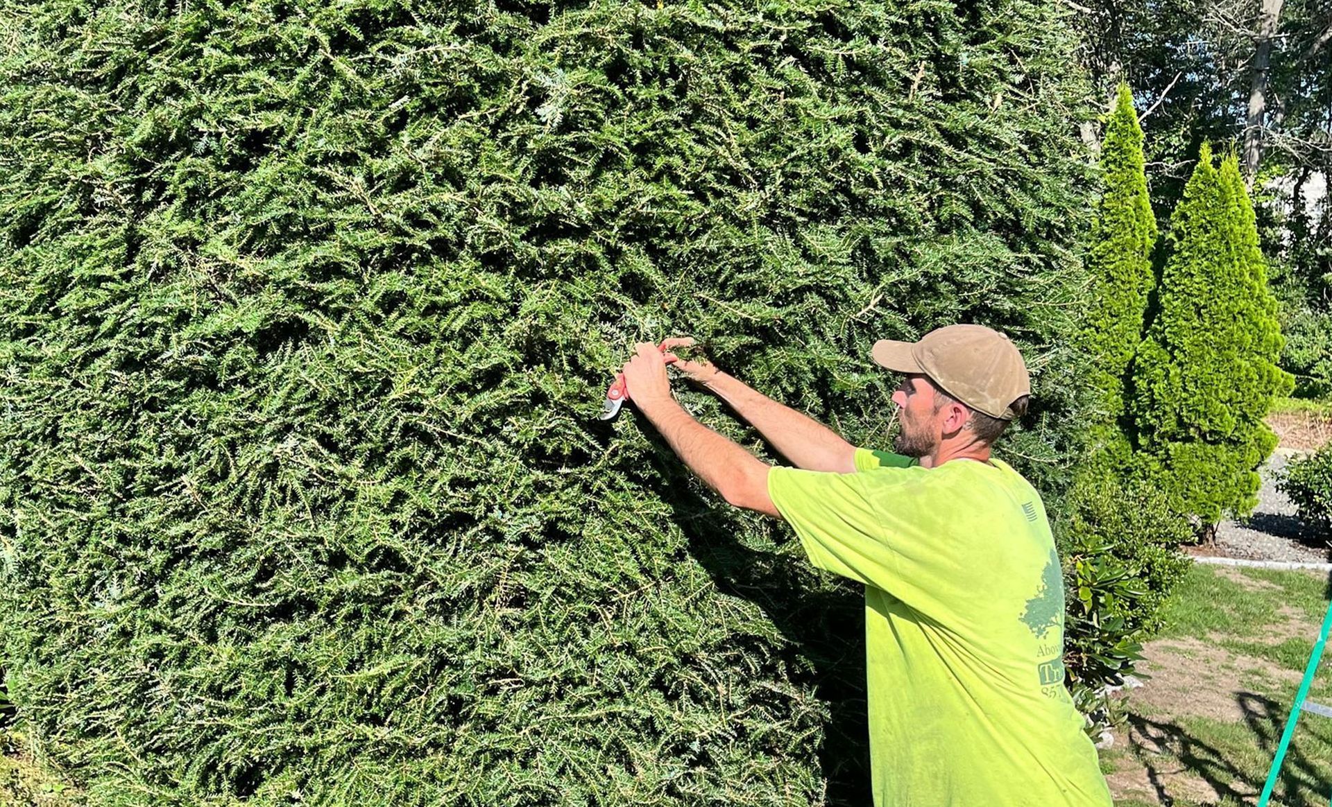 Northern Essex Tree Service