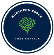 Northern Essex Tree Service - Logo