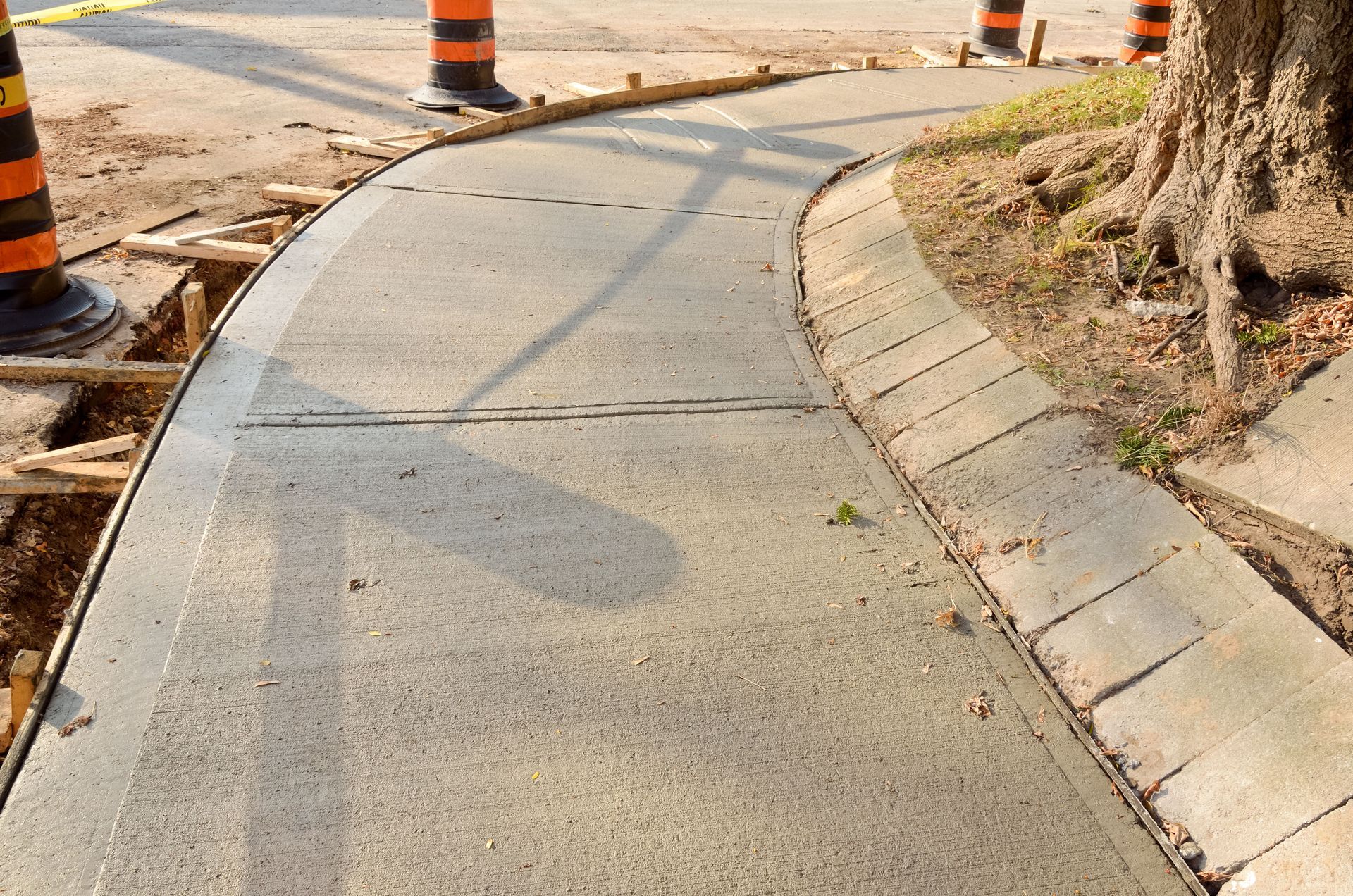 Curved sidewalk under construction beside a tree, with orange traffic cones and fresh concrete edges