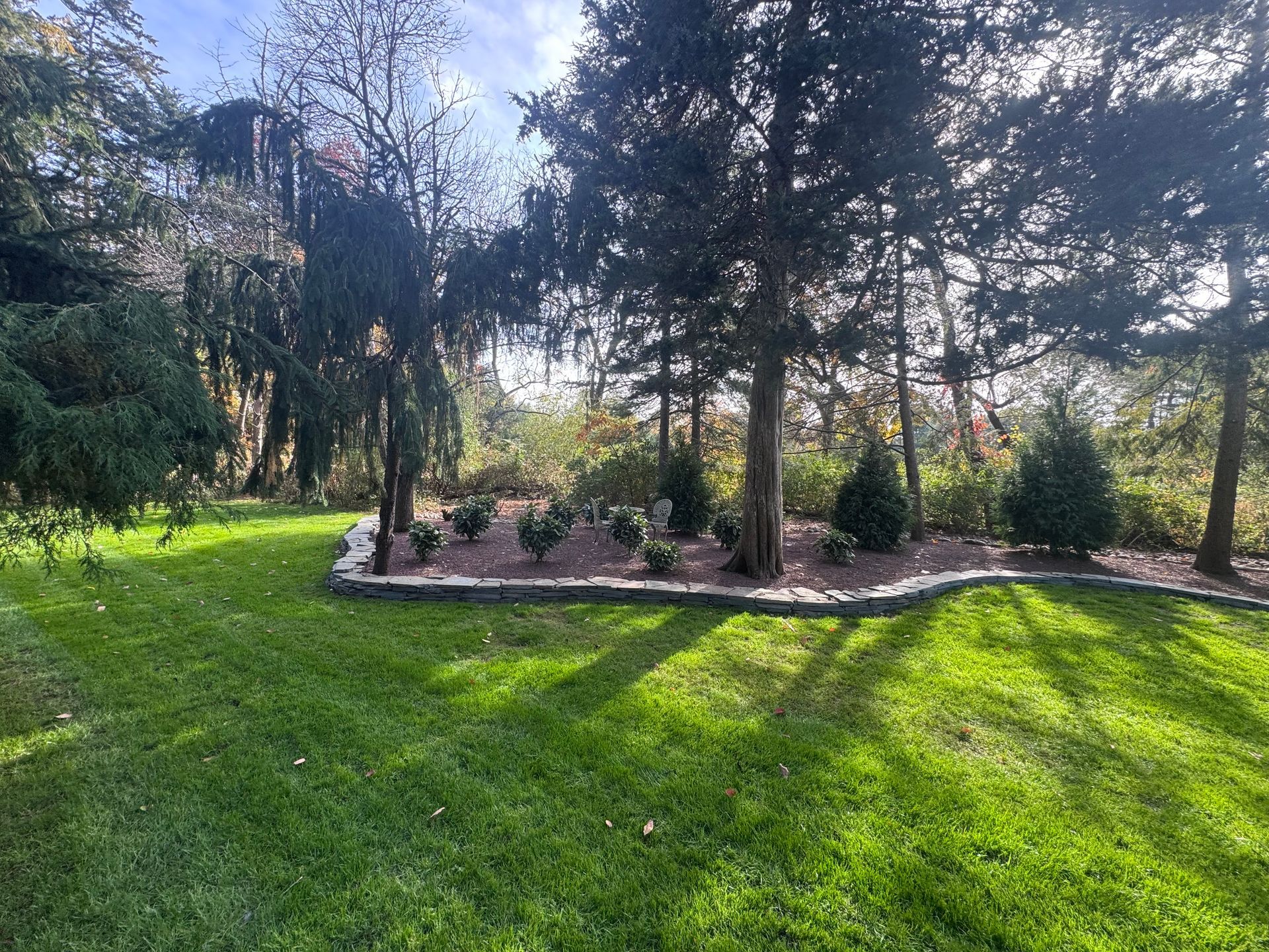 A landscaped garden bed with dark mulch, green shrubs, and stone edging, next to a black fence.