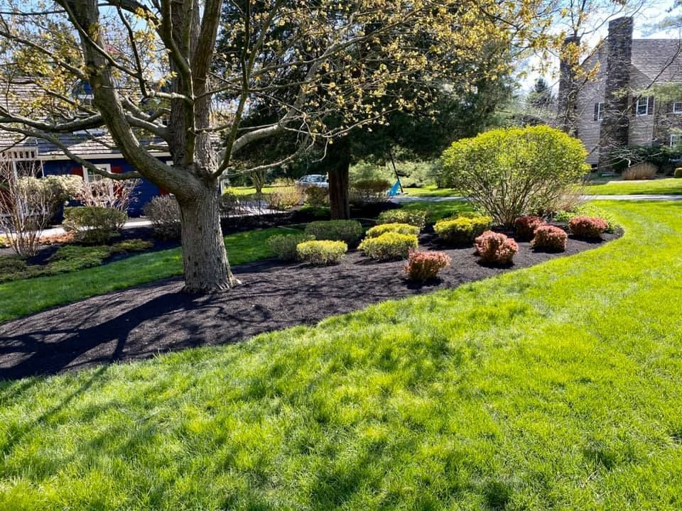Lush green lawn with a tree, garden beds with mulch and shrubs, and a house in the background on a sunny day.