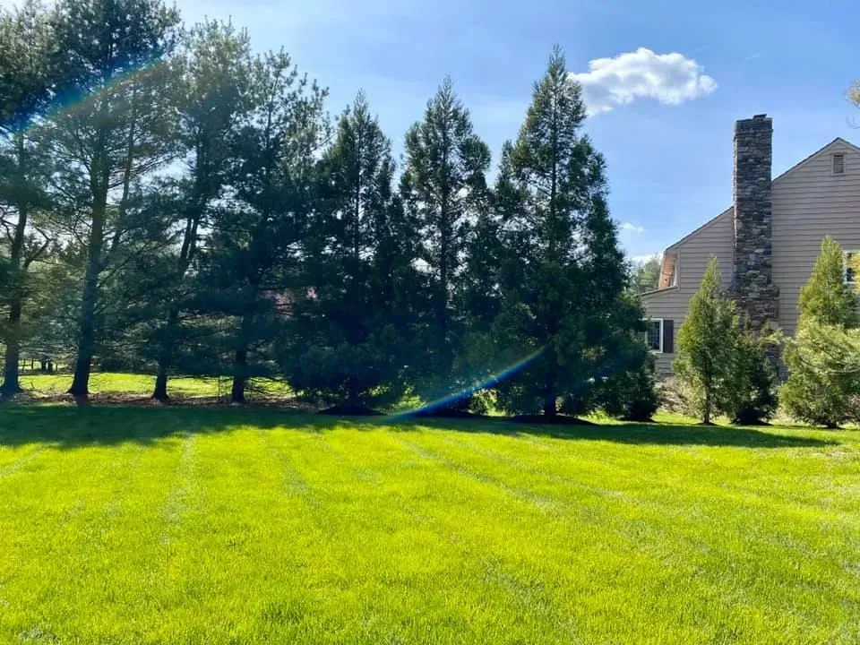 Lush green lawn with trees and a house, a stone chimney, under a blue sky.