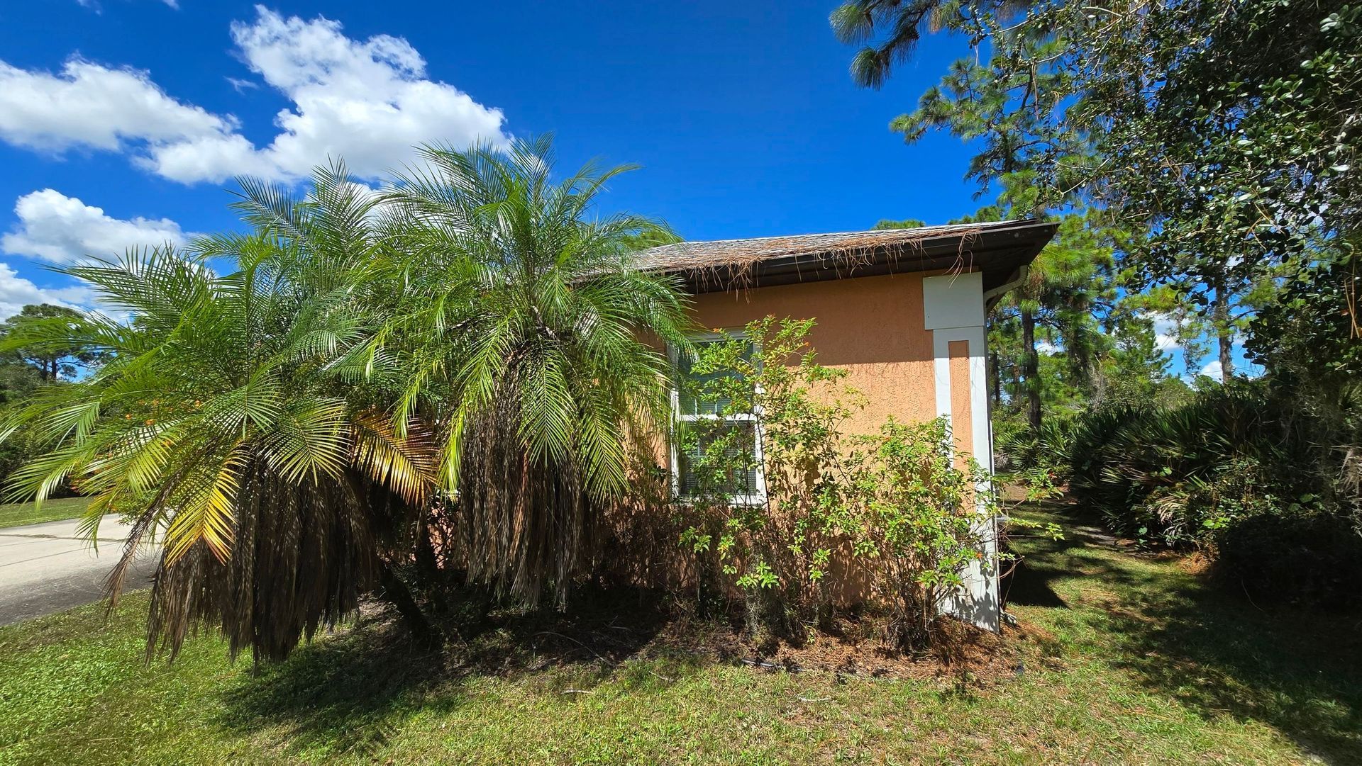Small stucco building with a thatched roof, partially obscured by lush green plants, under a blue sky.
