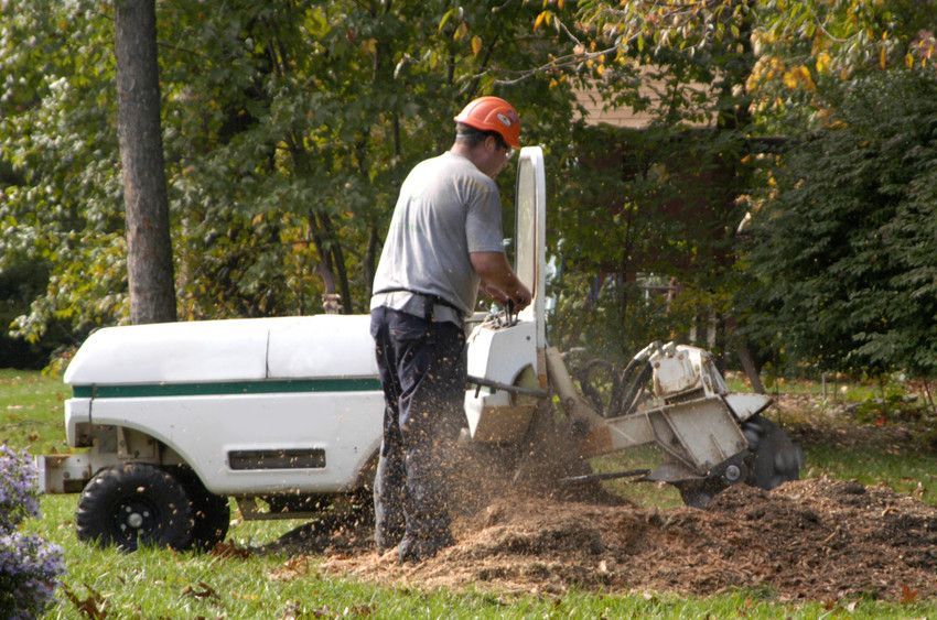 Stump removal