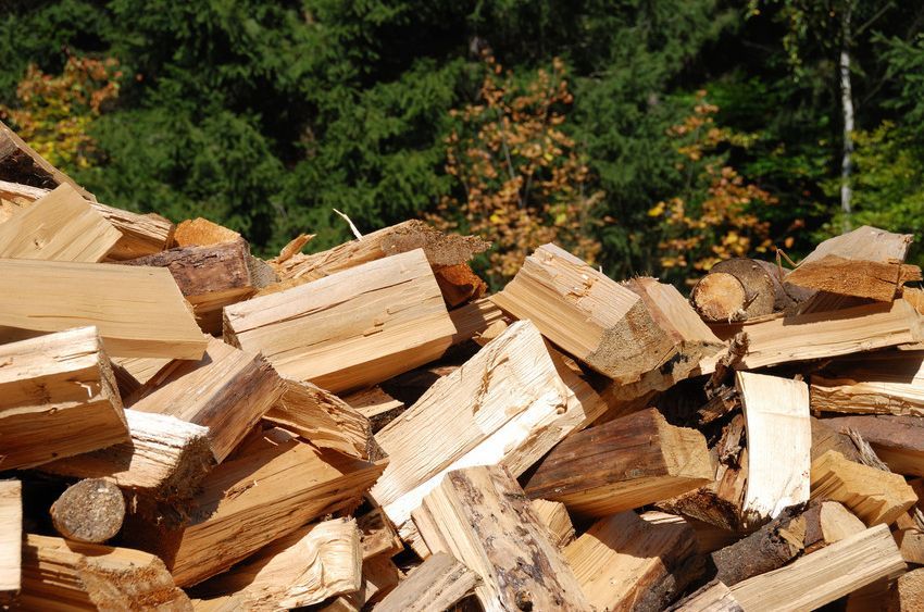 Pile of firewood