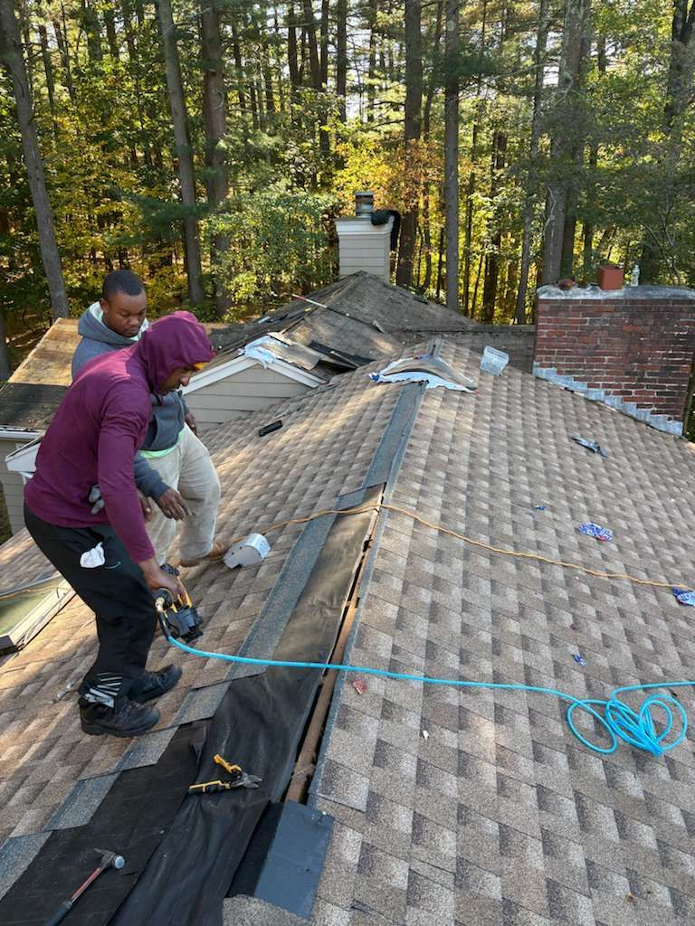 Two people on a roof repairing shingles. One uses a drill. Brown shingles, forest background.