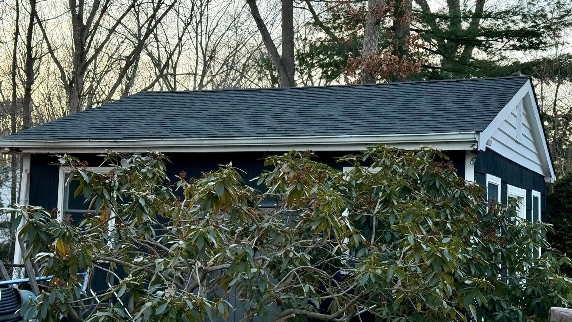 A dark blue, single-story building with a shingled roof, partially obscured by a large green shrub in the foreground.