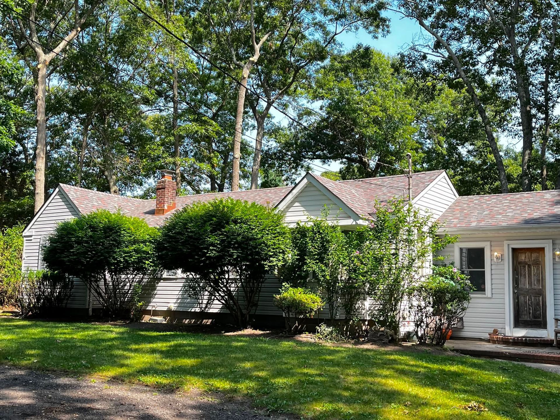 Single-story white house with a red door, surrounded by trees and bushes in a sunny yard