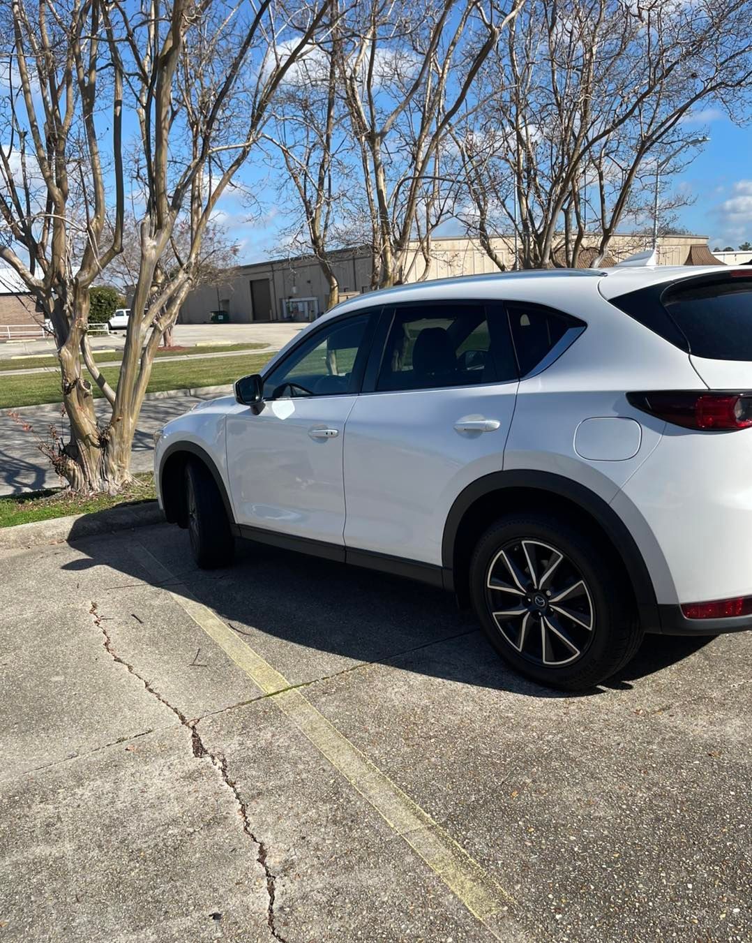 A white Mazda CX-5 parked on an asphalt lot next to a bare tree on a sunny day.