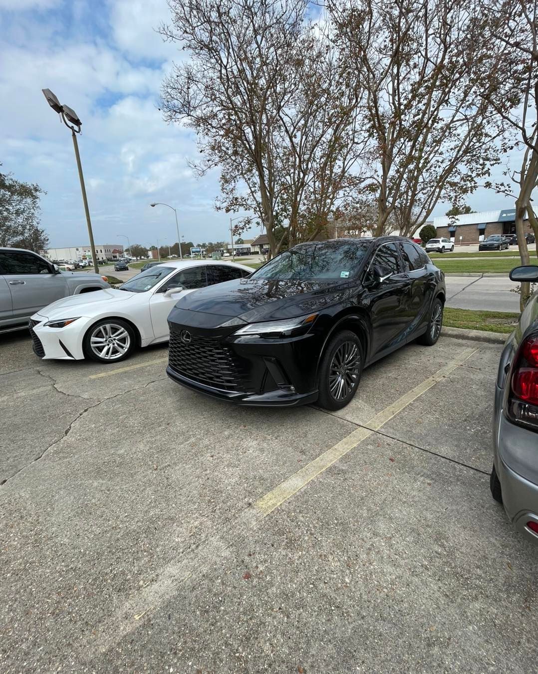 A black Lexus SUV parked in an outdoor lot next to a white car on a sunny day.