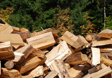 variety of firewood