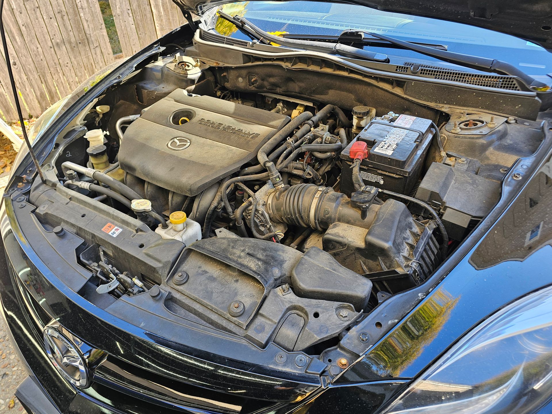 Black car engine bay with open hood; various components visible.