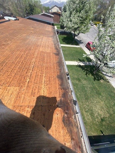 View from a roof with orange underlayment, overlooking a residential yard and flowering trees