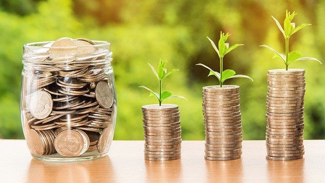 Coins stacked in ascending columns with small green plants growing from them on a wooden table