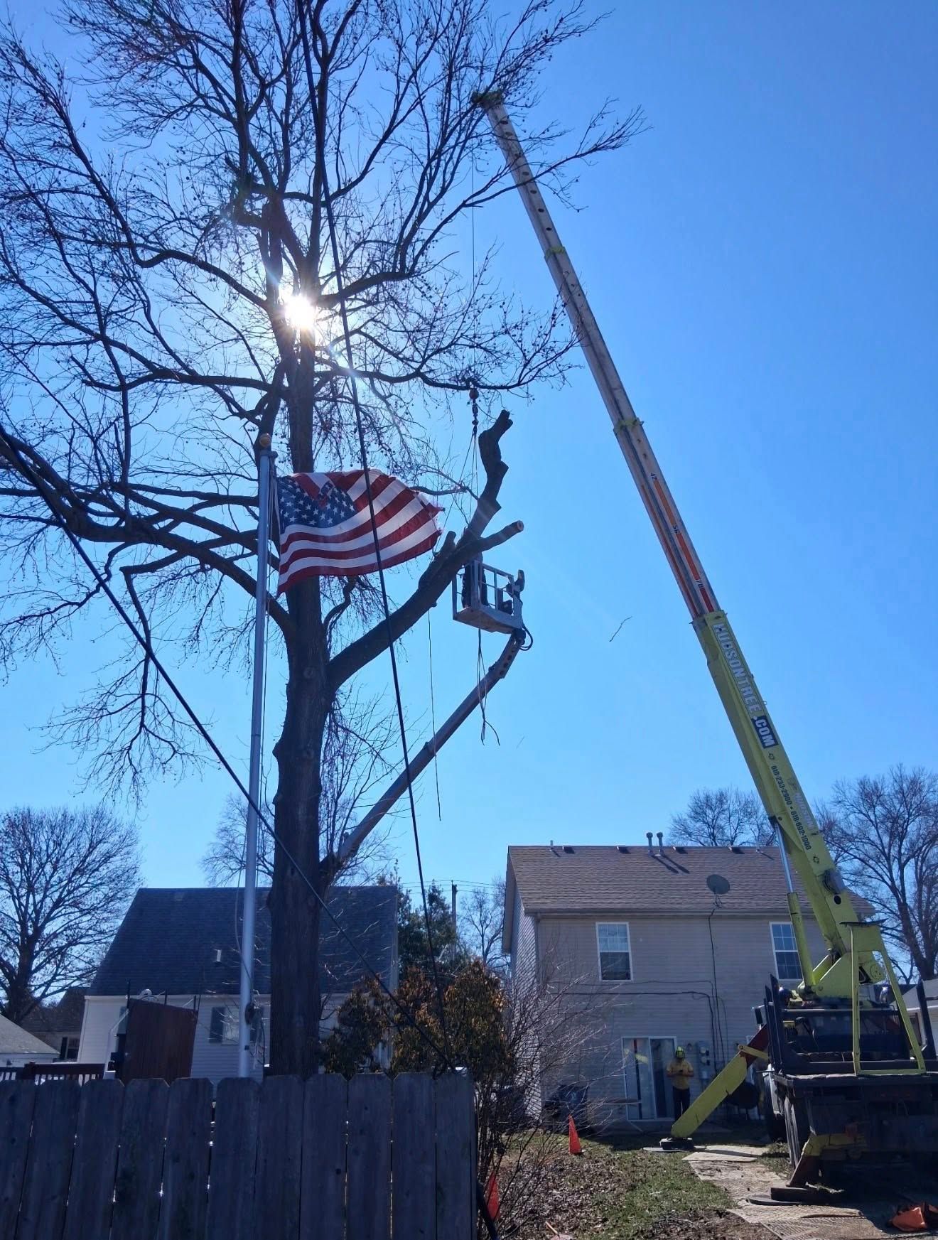 Crane lifting a tree worker beside a large tree with an American flag in a residential yard.