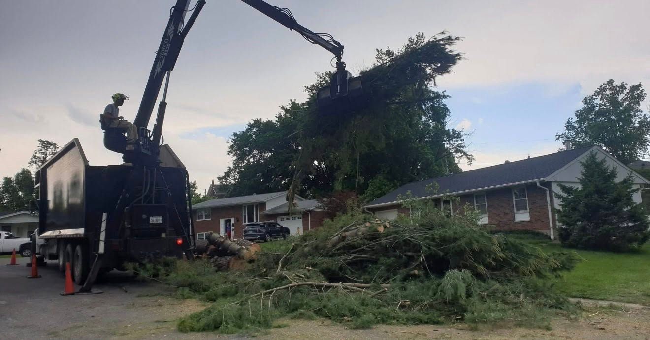 Tree-cutting truck clearing branches beside a suburban house at dusk.
