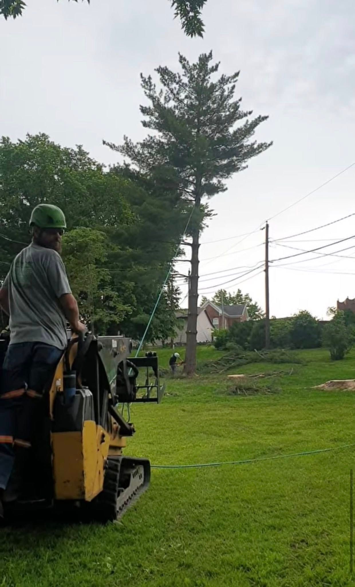 Worker on a yellow mower rides across a grassy field near trees and power lines.