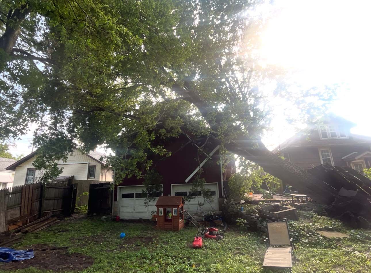 Tree fallen onto a red garage, next to a house with yard debris. Sunny day.