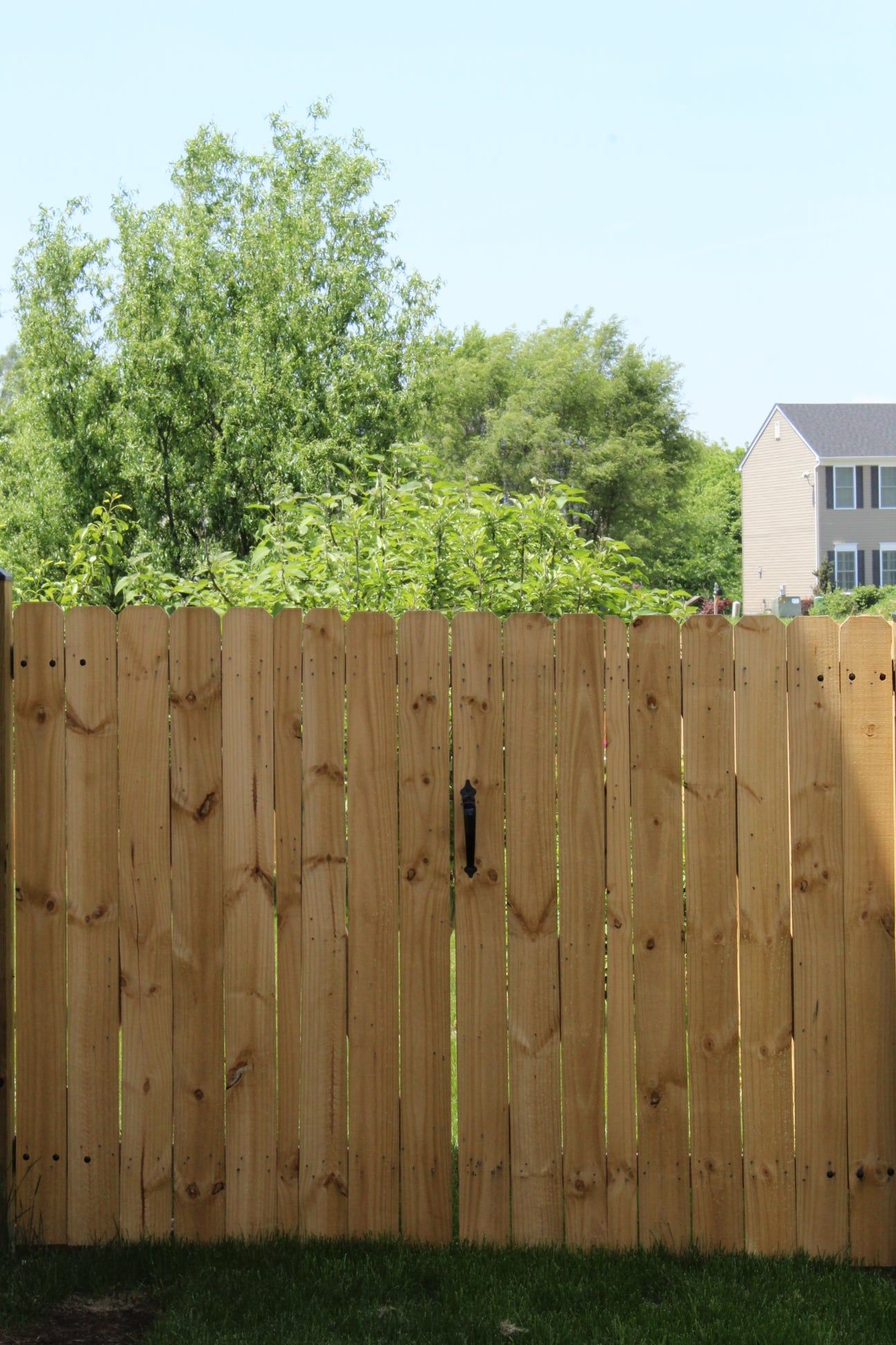 Wood Fence