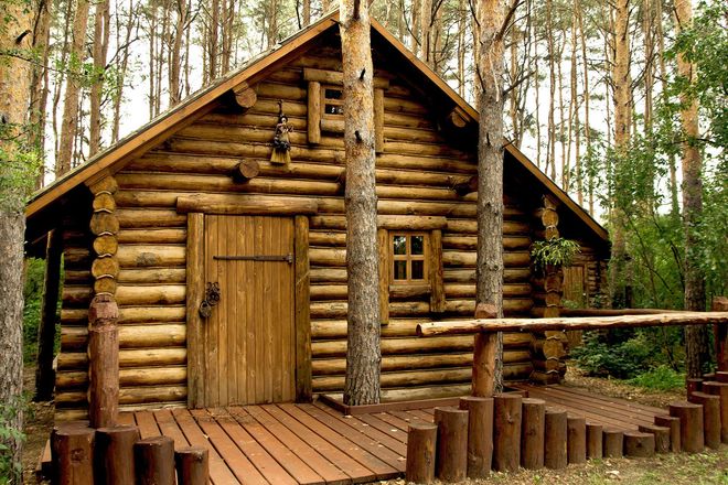 Log cabin in a pine forest with a wooden porch and door