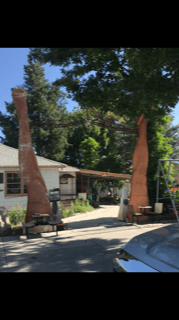 Caesar's Motorcycle Empire