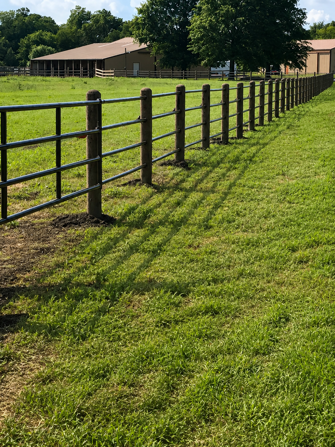 Black fence along a grassy field beside a barn under a sunny sky.