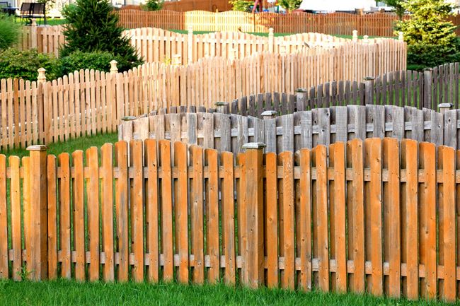 Curving wooden fences in a grassy backyard with trees and houses in the background