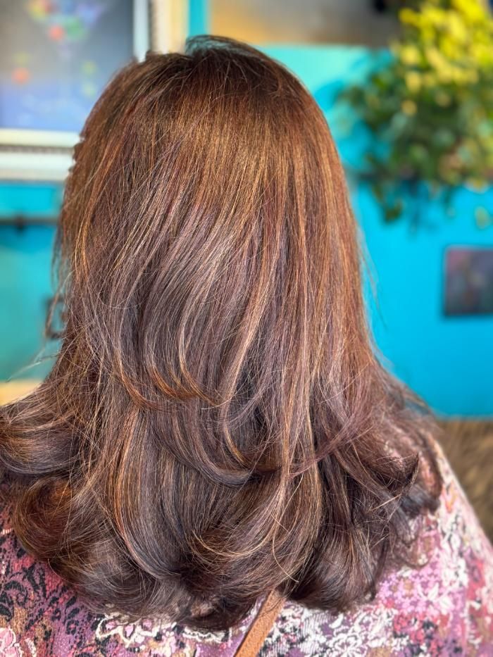 The back of a woman's head with long brown hair.