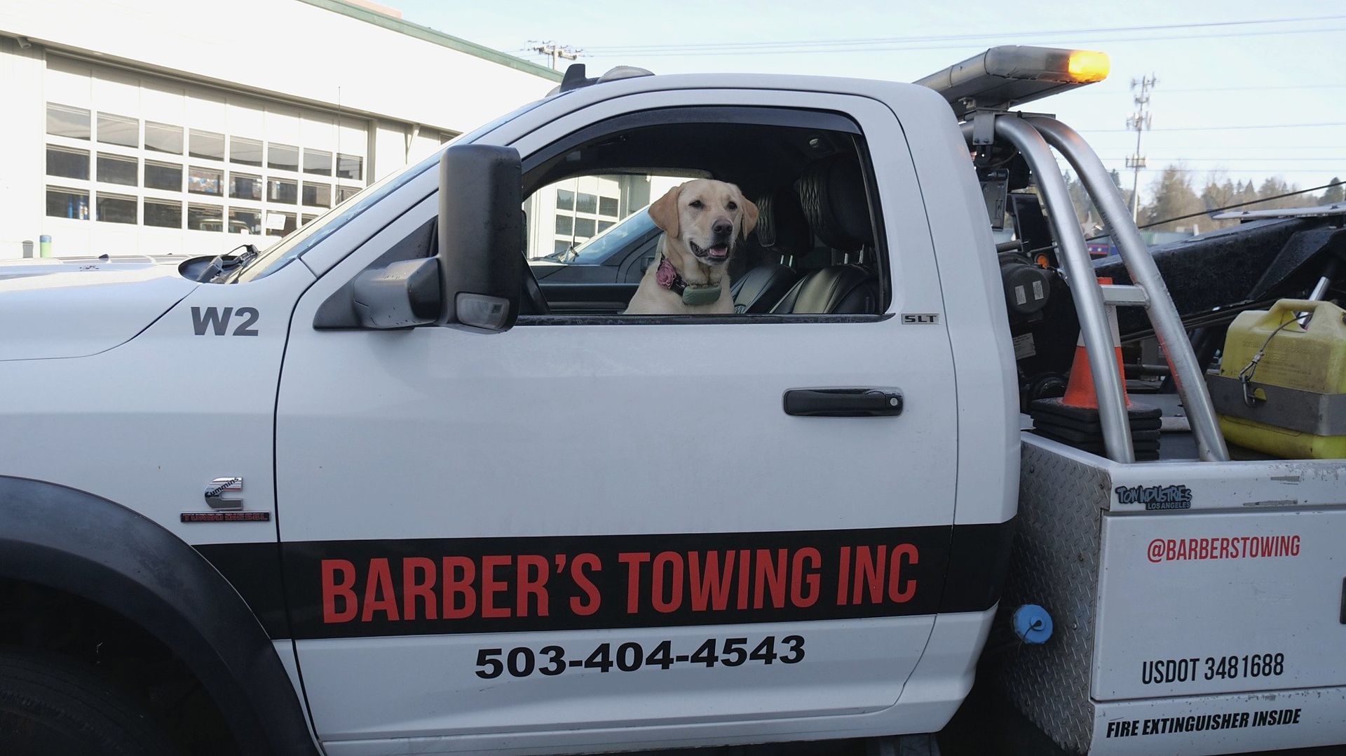 Yellow Lab in a white tow truck with 